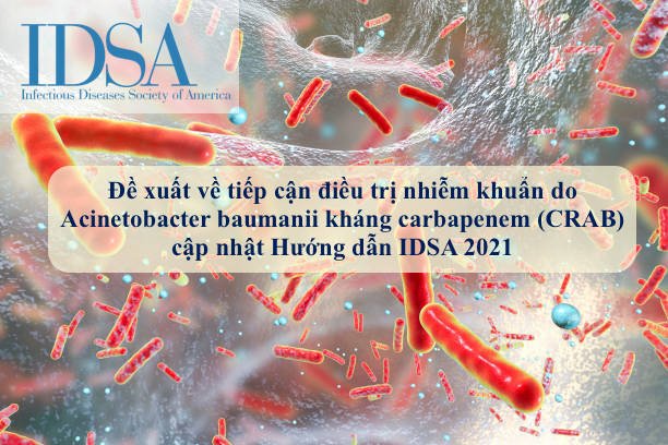 Đề xuất về tiếp cận điều trị nhiễm khuẩn do Acinetobacter baumanii kháng carbapenem (CRAB) cập nhật Hướng dẫn IDSA 2021