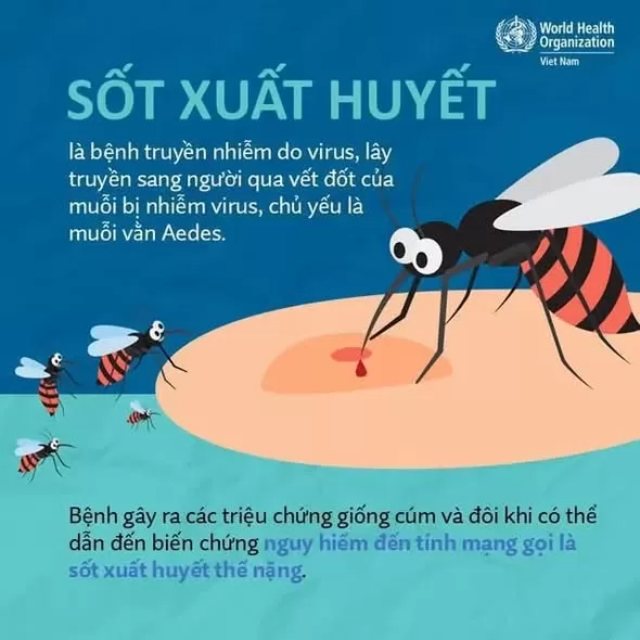 Sốt xuất huyết: Dấu hiệu nhận biết sớm và các biện pháp phòng bệnh