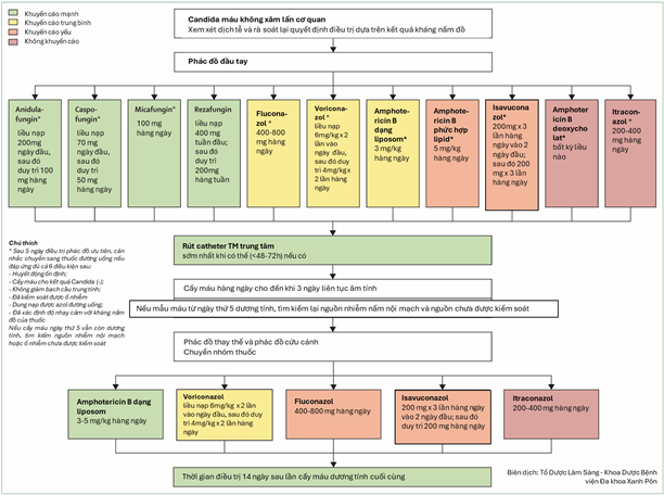 A diagram of a flowchart    Description automatically generated