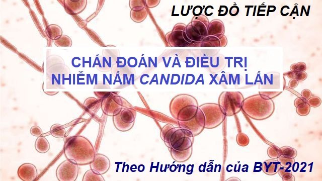 Lược đồ tiếp cận chẩn đoán và điều trị nhiễm nấm Candida xâm lấn theo Hướng dẫn của Bộ Y tế năm 2021