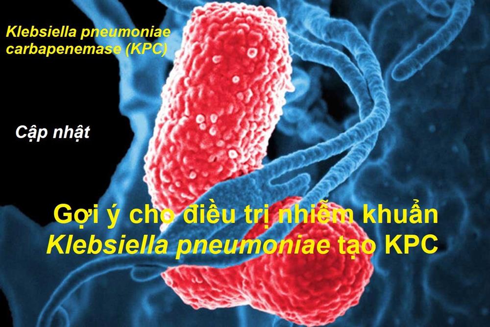 Một số gợi ý cho điều trị nhiễm khuẩn Klebsiella pneumoniae tạo KPC